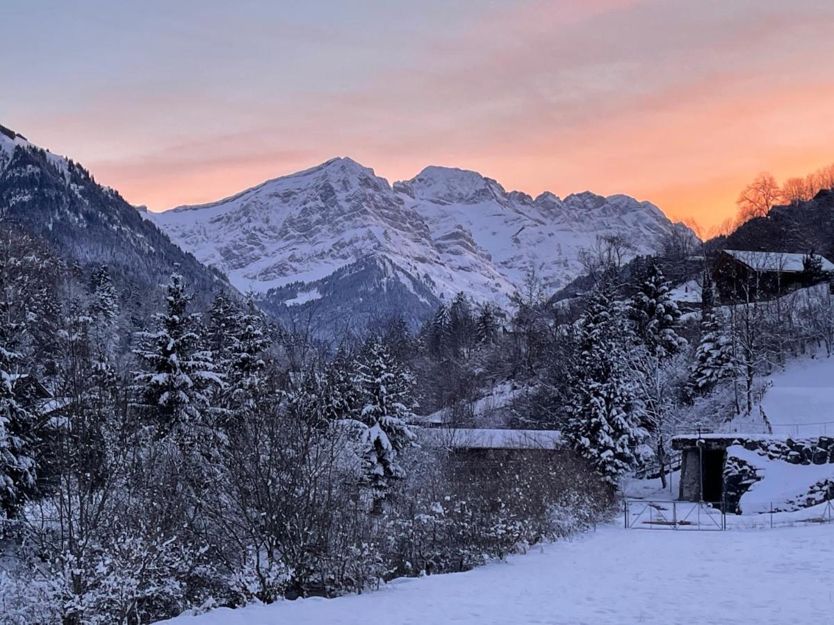 Mountain River Appart Val-d'Illiez Exterior photo